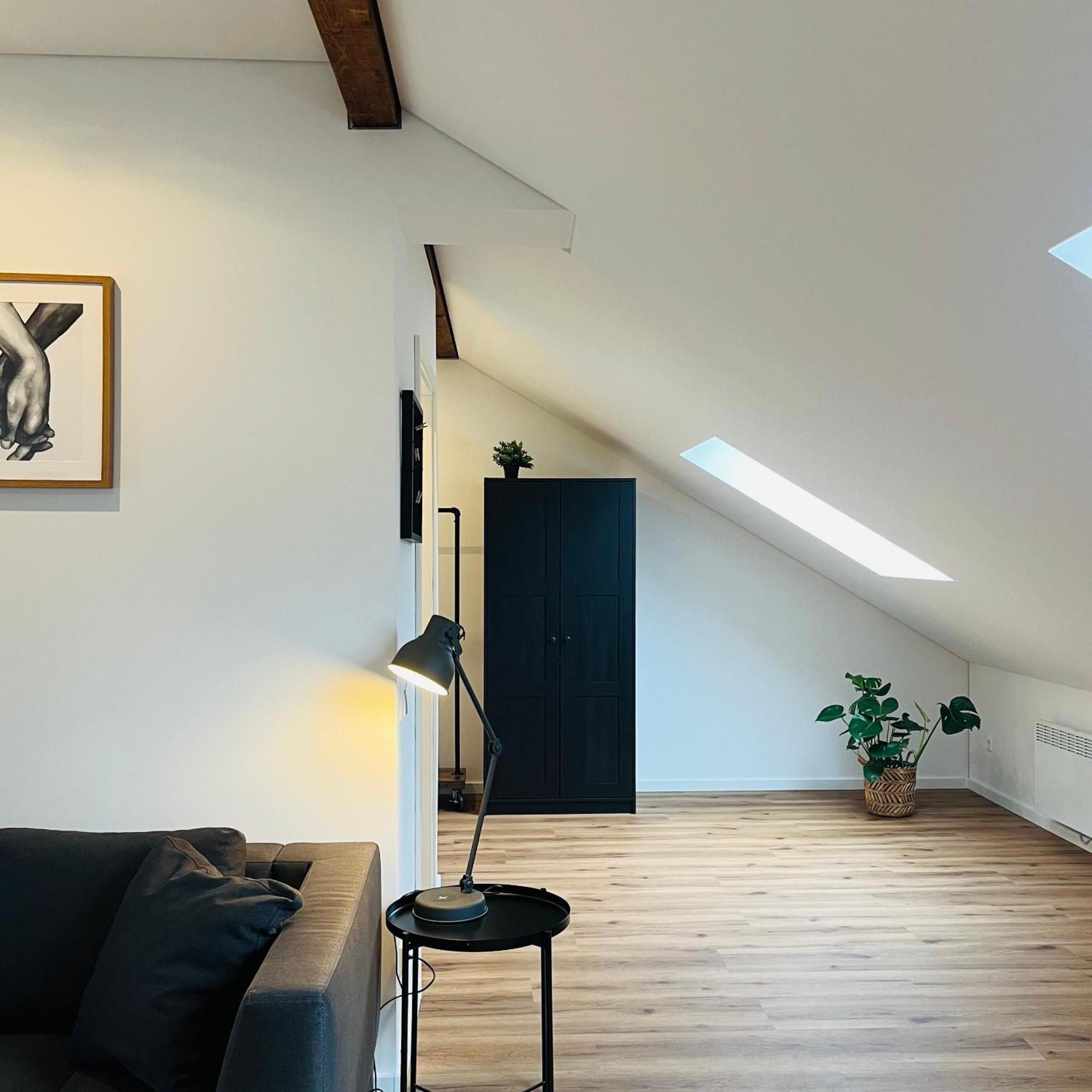 City Loft Apartment Bad Saeckingen Kültér fotó